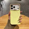 Funda Magnética Líquida de Color Sólido Adecuada para iPhone 18 Pro Max, Funda para Teléfono Apple 17, Funda Suave Mate 16/15