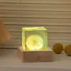 Nova Bola de Cristal de Dente-de-leão Transfronteiriça Luminosa Luz Noturna Flor Eterna Ornamento Decorativo Decoração de Mesa Presente de Aniversário