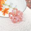 Pinza Francesa de Nuevo Estilo con Flor de Cinco Pétalos Calada con Flor de Diamante, Pinza para el Cabello de Ácido Acético, Pinza de Tiburón Simple de Alta Gama, Accesorio para el Cabello para Mujeres