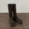 Botas Altas de Suela Gruesa para Mujer Estilo Verano 2025, Nuevas, Altura Sobre la Rodilla, Adelgazantes, Botas de Jinete