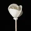 Flor Seca de Rosa Pequeña y Flor Pandorus Decoración para el Hogar Difusor de Aromaterapia sin Llama Flor de Ratán Flor de Aromaterapia Accesorios Volátiles