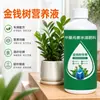 Árvore da Fortuna Solução Nutritiva Fertilizante Fertilizante Especial Trata Folhas Amareladas, Queda de Folhas, Podridão das Raízes, Plantas de Vaso Internas, Fertilizante para Flores, Universal