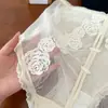 2759 Encaje Rosa para Mujer talla extra Ropa interior chica rellenita Sexy Malla Cintura Alta Puro Sin Marca Calzones Triángulo Venta al por Mayor
