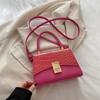 2024 Inverno Nova Moda Francesa Nicho Design Bolsa de Viagem Personalizada Este Ano Popular Bolsa Pequena Quadrada Crossbody
