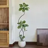 Plantas Verdes de Simulación Lujo Ligero de Gama Alta Árbol de Caucho Rey Negro Ficus Hoja de Flor Adorno de Pie para Interior Sala de Estar Sensación de Gama Alta Árbol Falso