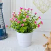 Simulación de Amazon Pequeñas Plantas en Maceta Adornos Hogar Eucalipto Romero Sala de Estar Decoración de Escritorio Flor Artificial Planta en Maceta de Plástico