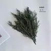 Chica del Pino Ciprés Eterno Material de Flor DIY Corona Navideña con Hierba Astas Hojas Verdes de Pino Ciprés Empaque de Caja de Regalo Plateada Tarjeta de Felicitación