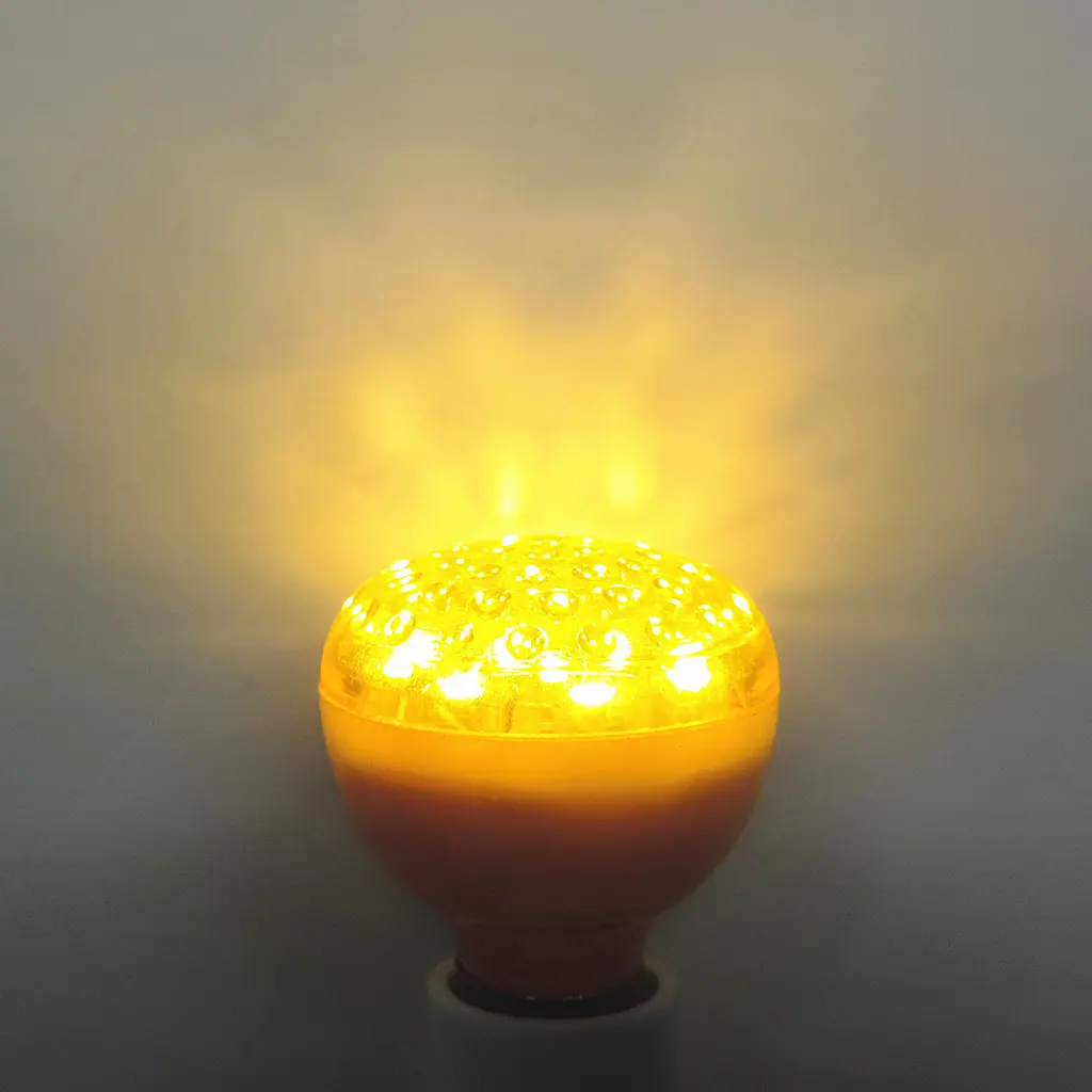 照片 239