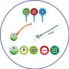 Fabricante de anillos para patas de pollo personalizados etiqueta de trazabilidad anti-falsificación con código QR marcador de cangrejo hebilla de cangrejo avícola etiqueta de pez desechable