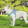 Novo acessório para pet transfronteiriço: Coleira tipo peitoral para pet, refletiva e respirável, para gatos e cães, com guia para passear com o cachorro