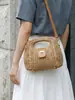 Bolso tejido de marco moderno y simple, bolso cruzado de paja, bolso de mano de paja nuevo, bolso de playa de vacaciones junto al mar estilo francés