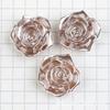 Flores de Pegamento Crema DIY Flor de Rosa Material de Perla de Imitación ABS Funda de Teléfono Accesorios para el Cabello Accesorios