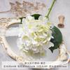 Hortensia de Película Simulada Arreglo de Boda Decoración Suave Exhibición Floral de Hotel Decoración de Mesa de Comedor de Sala de Estar Flores Artificiales Accesorios de Fotografía