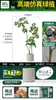 Pé de Pato Madeira Simulação Planta Verde Planta Falsa Alta Qualidade Sala de Estar Planta em Vaso Interior Grande Bonsai Biônico Hotel Decoração de Chão