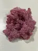 Musgo de Reno Preservado Flor Seca DIY Paisajismo Micro Paisaje, Botella Ecológica, Planta en Maceta de Vidrio, Cubierta de Suelo para Bonsái