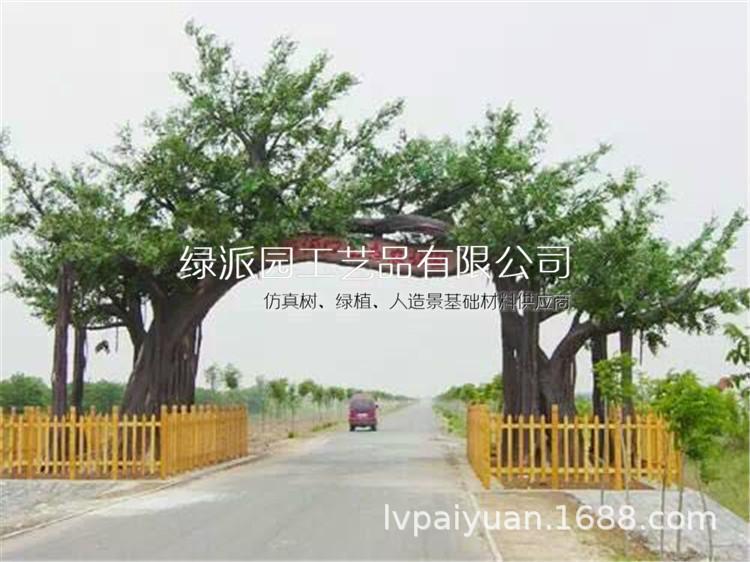 榕树073.jpg