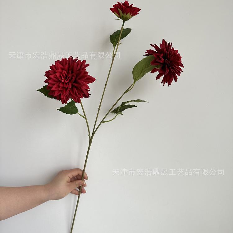 微信图片_202304201402134_副本