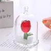 Espejo Cruzado Amazon Mariposa de Cristal Bola de Cristal Adornos Animales Pequeños Creativos Decoración de Coche Manualidades Regalos Navideños