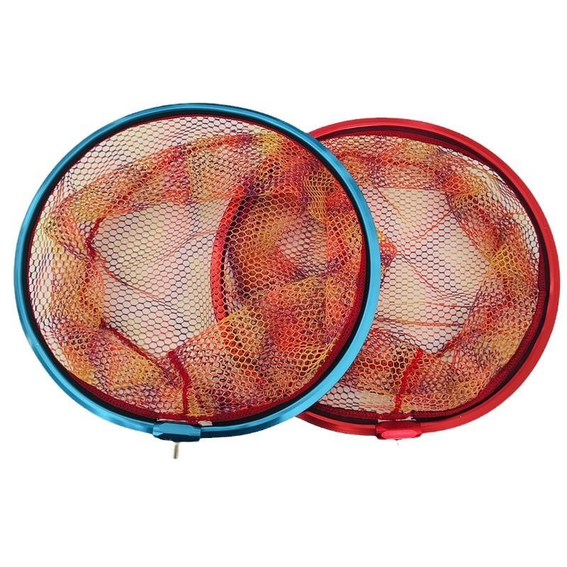 2024-11-26 11:15:12.jpg