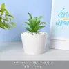 Vaso de Flores Cerâmico Branco Simples Criativo Vaso de Porcelana Branca Dehua Mini Suculenta Orquídea Phalaenopsis Pequeno Vaso Decorativo