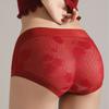 Calzones de Encaje Sin Costuras Estilo Francés Sexy Transfronterizos, Transpirables y Antibacterianos, Calzones para Mujer con Refuerzo de Seda Tallas Grandes
