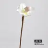 Orquídea de Bolso Flor Artificial Planta Única de Interior em Vaso Ornamentos Decorativos Acessórios de Buquê de Alta Gama Fotografia de Casamento Orquídea de Bolso Simulada