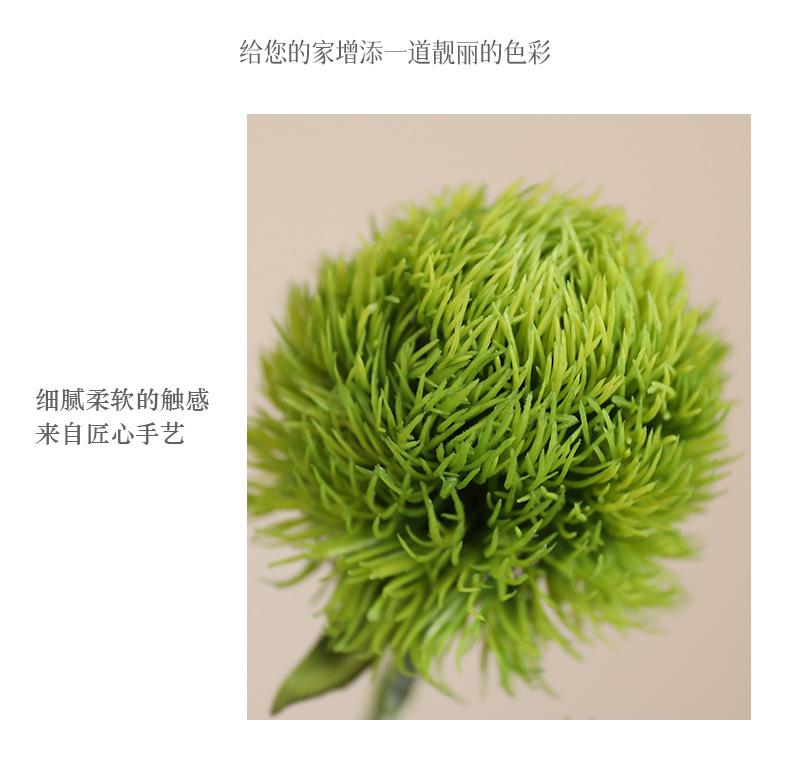 单枝绿石竹_06.jpg