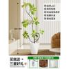 Forma de Hoja de Flor Árbol de Caucho Baniano Dorado Sala de Estar Planta Verde Baniano Rico Interior Oficina Planta Verde Planta Grande en Maceta