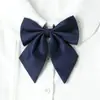 Jk Roupa de Formatura Bacharelado Baseada no Japão Gravata Feminina Fotografia de Formatura Uniforme Escolar Vinho Tinto Gravata Borboleta Camisa Grátis Raiz de Pena Vermelha Gola Flor Tendência