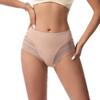 Roupa Íntima Feminina de Comércio Exterior Transfronteiriço Verão Seda Gelo Alta Elasticidade Cintura Média Tamanho Grande Malha Respirável Renda Sexy Calcinhas Femininas