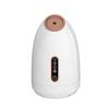 Nuevo vaporizador facial con pulverizador de agua fría y caliente, pulverizador hidratante de iones faciales, aromaterapia china de hierbas para el hogar, vaporizador facial de belleza.