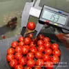 Cuentas de Laca Roja China de Alta Calidad, Accesorios Versátiles para Pulseras DIY, Cuentas Espaciadoras, Colgantes de Cuerda Trenzada, Accesorios Creativos