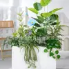 [Serie Chlorophytum Blanco Hy-Ax8] Planta de Flores Simuladas Paisajismo Jardín Paisaje Adornos Florales Decorativos Elegantes