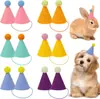 Produto Acabado Novo Transfronteiriço Amazon Aniversário Pet Chapéu Fofo Pequeno Gato e Cachorro Acessórios de Festa Cores Misturadas