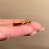 Anillo Abierto de Moneda de Pony Color Dorado para Mujer, Anillo Exquisito de Alta Gama Vintage para el Dedo Índice, Anillo de Diseño de Nicho para el Año de Nacimiento