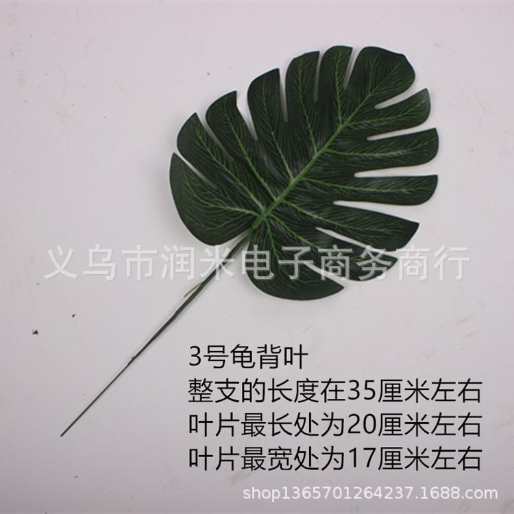 IMG_8507_副本_副本