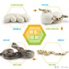 Juguete modelo de animal pequeño simulación ciclo de vida crecimiento rana tortuga pollo Montessori material didáctico preescolar venta al por mayor