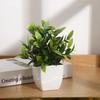 Simulação de planta de eucalipto planta de água em vaso mini pequeno quadrado planta frondosa verde atacado com pote de plástico carnudo