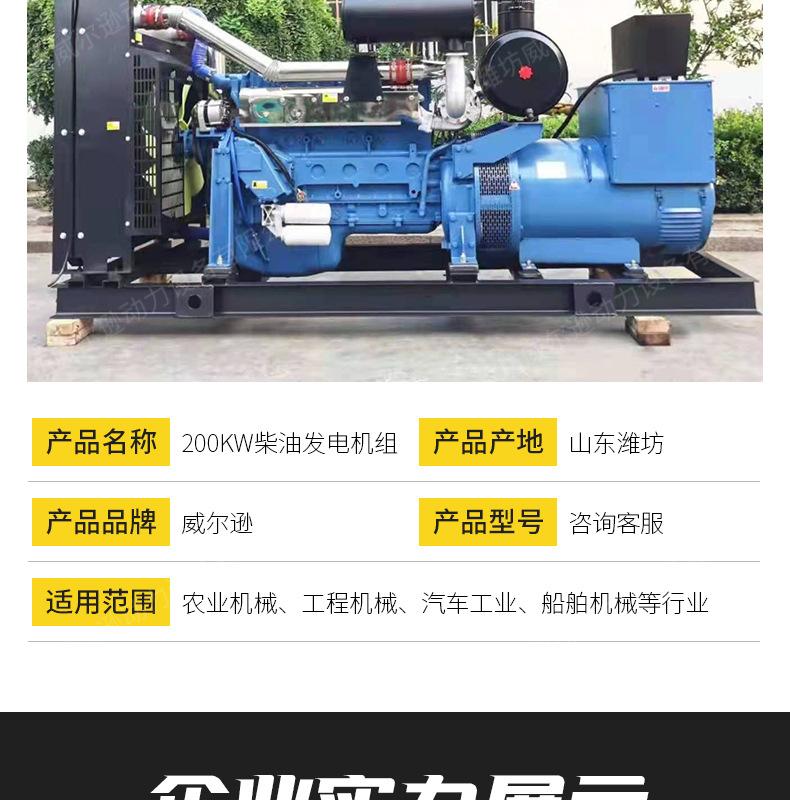 200kw柴油发电机组_11.jpg