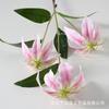 Simulación de flores, 3 lirios de llama, diseño de escena de boda, decoración del hogar, accesorios de fotografía de flores artificiales, fábrica al por mayor