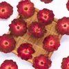 Kit de Materiales para Estampado de Flores Secas Teñidas en Oro Rosa Pegatina de Espécimen de Planta Marcador Creativo de Resina para Estampado DIY