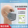 Mascarilla Antipolvo Kn95 Montada en la Oreja Válvula de Respiración de Carbón Activado Industrial a Prueba de Polvo para Adulto Empaquetada Individualmente Venta al por Mayor