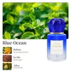 2026 Nuevo Modelo Comercio Exterior Transfronterizo Difusor Inteligente en Spray para Aroma de Coche Humidificador de Aire para Coche con IA de Amazon