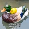 Patio rocalla, pecera con forma de rana, decoración de estanque de peces, pato mandarín flotante, pato amarillo pequeño, cisne, tortuga, adornos para jardín al aire libre