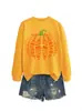 Amazon eBay sitio independiente moda casual elegante mujer libro calabaza cuello redondo manga larga sudadera para exportación