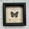 Marco de Fotos con Foto de Espécimen de Mariposa Real Elegante Madera Decorativa Pintura Muebles para el Hogar Marco de Fotos Retro Europeo Mesa Regalo de Cumpleaños