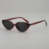 Gafas de Sol Cat-Eye Pequeñas de Marco Retro Tendencia 2025 Protección UV Estilo Callejero Moda Lentes Planos