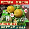 Embalado Individualmente Guangxi Guilin Yongfu Luo Han Guo Especialidade de Agricultor de Frutas de Guangxi Guilin Fruta Seca Fruta Grande Mar Gordo Chá de Bolhas