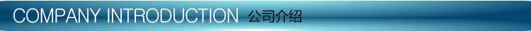 公司介绍