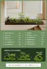 Paisajismo con plantas verdes artificiales con nandina, micro paisajismo para entrada, sala de estar, balcón, con musgo de suelo, en estilo simple, plantas de alta gama